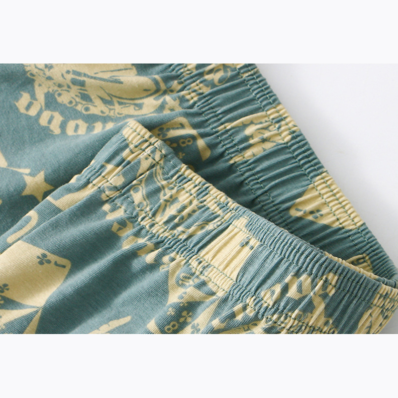 1 adet erkek Aro pantolon pamu - Boxer Brief Pack Cotton incelemesi ve fiyatı